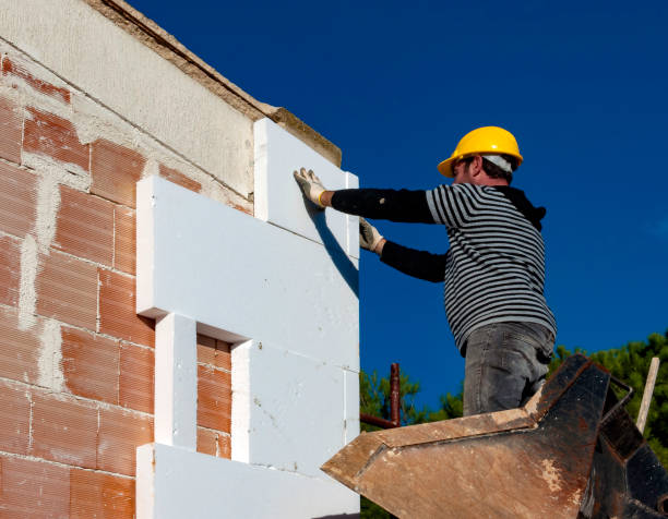 Best Geographic-Specific Insulation Services in Darlington, SC