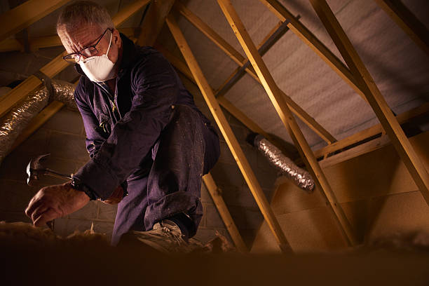 Best Energy Efficiency Insulation in Darlington, SC