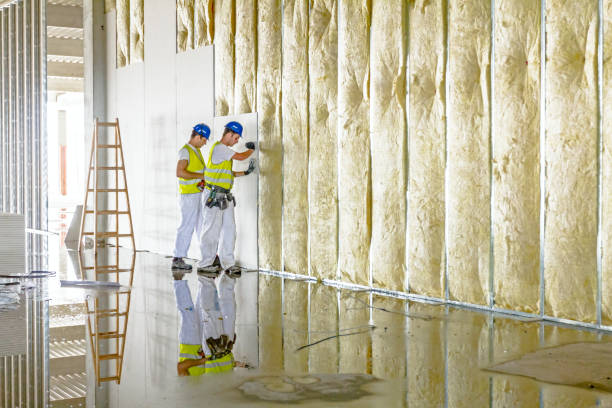 Best Eco-Friendly Insulation in Darlington, SC